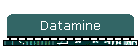 Datamine