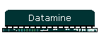 Datamine